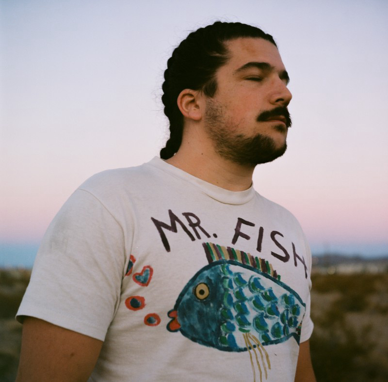 Shayhan Mr. Fish