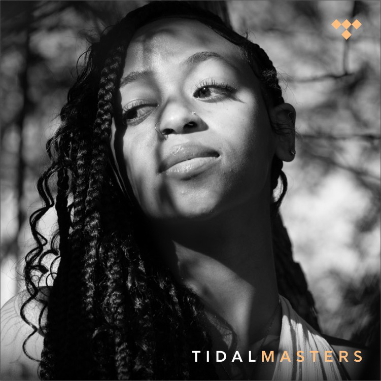 Tidal Masters Playlist Cover