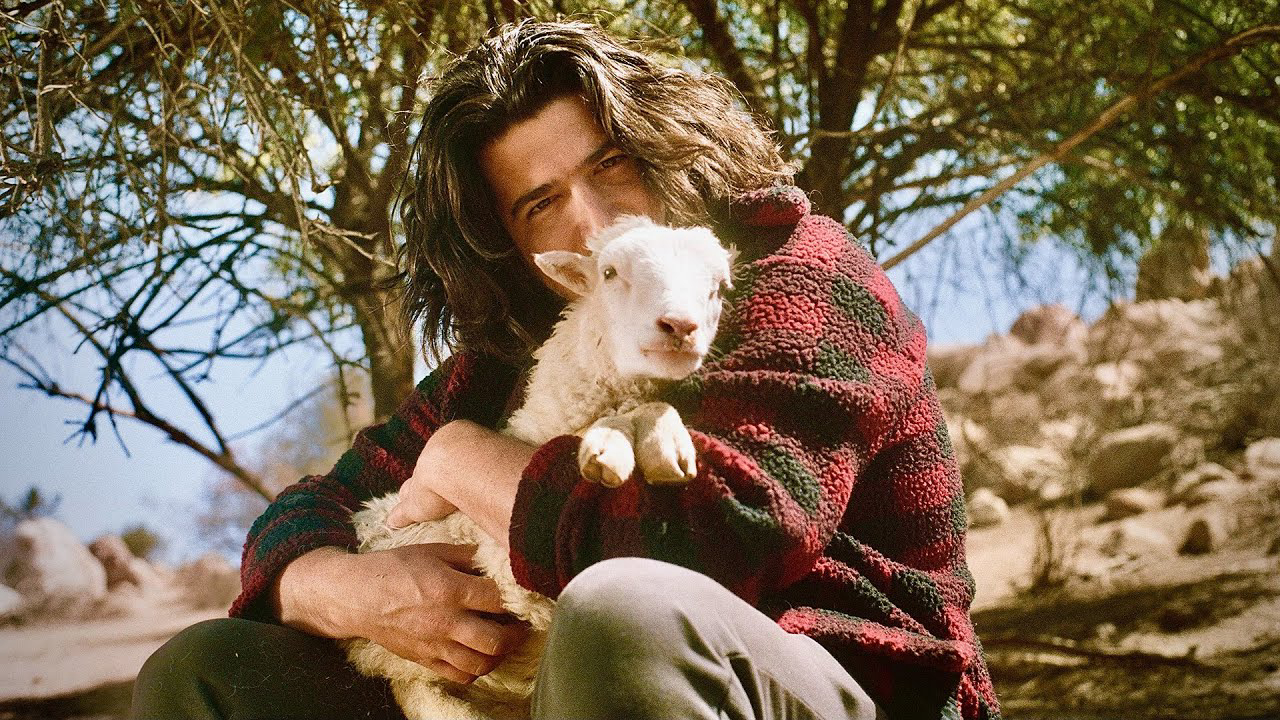 Shayhan Goat